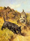 Arthur Wardle Canvas Paintings - Two Scotties in a Landscape